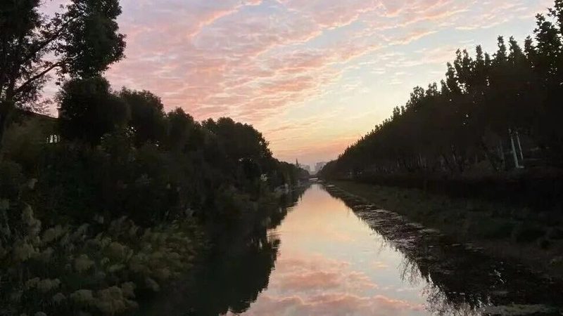 公司法人变更，公章重新刻制：价格背后的合规考量